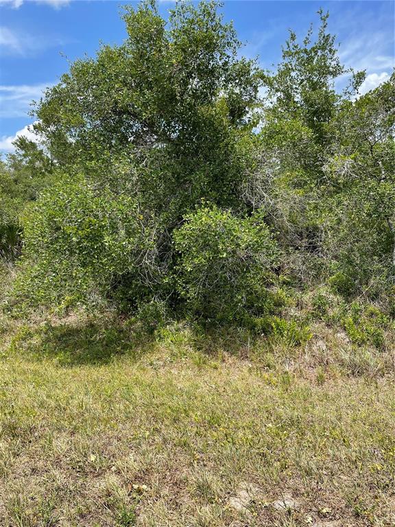 33514 Washington Loop Road Punta Gorda, FL 33982 - Photo 3 of 5