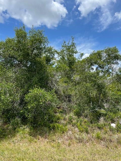 33514 Washington Loop Road Punta Gorda, FL 33982 - Photo 5 of 5