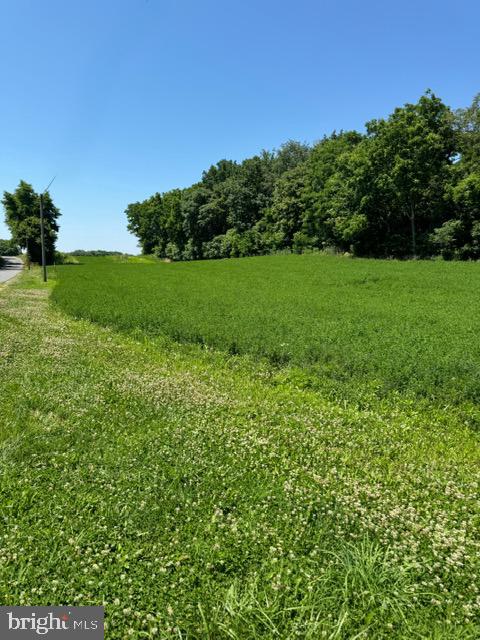 7780 Fairplay Road Boonsboro, MD 21713 - Photo 10 of 17