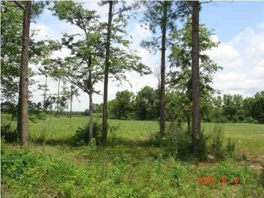 4 La Maison Road Duson, LA 70529 - Photo 1 of 1 Primary Photo