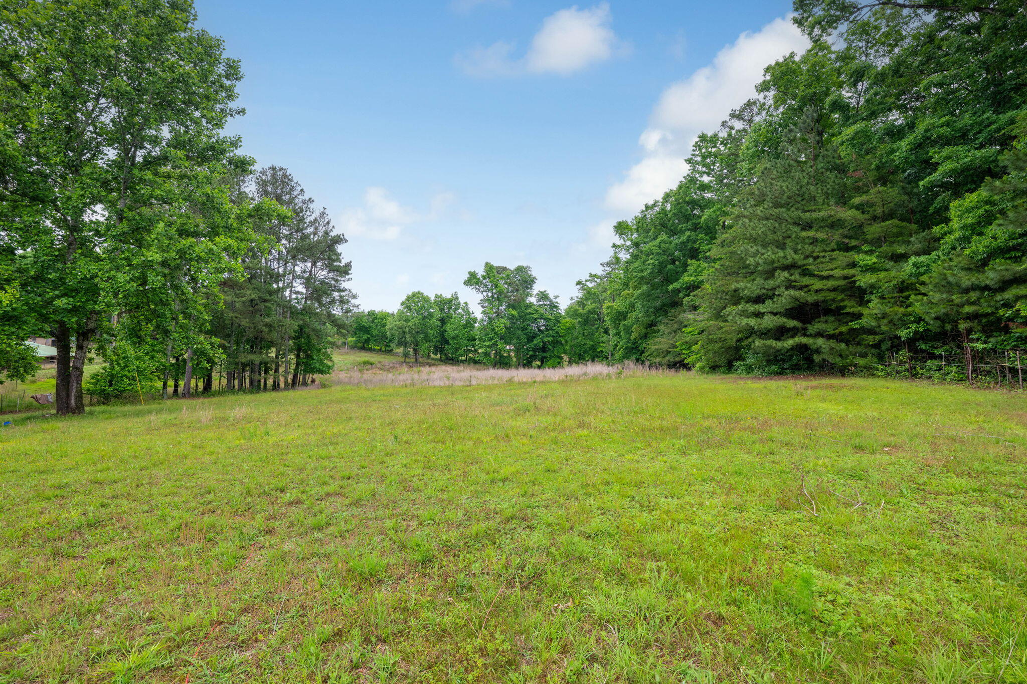 1110 Boanerges Church Road Old Fort, TN 37362 - Photo 35 of 37 45-web-or-mls-DSC_3764