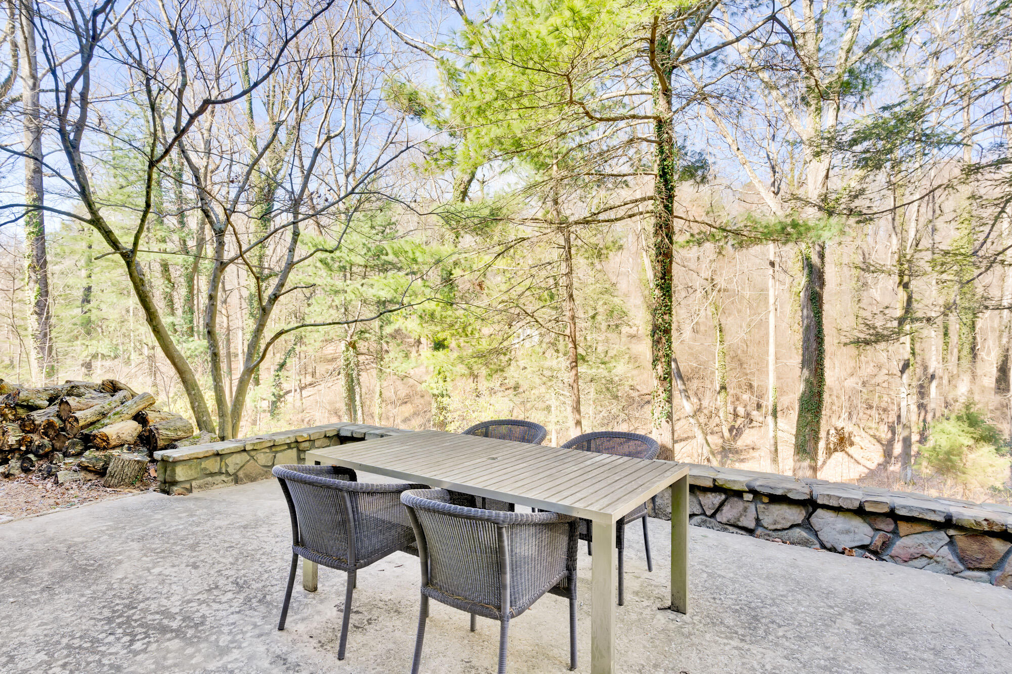 1105 East Brow Road Signal Mountain, TN 37377 - Photo 38 of 67 1105-E-Brow-Rd-MLS-Photos-45