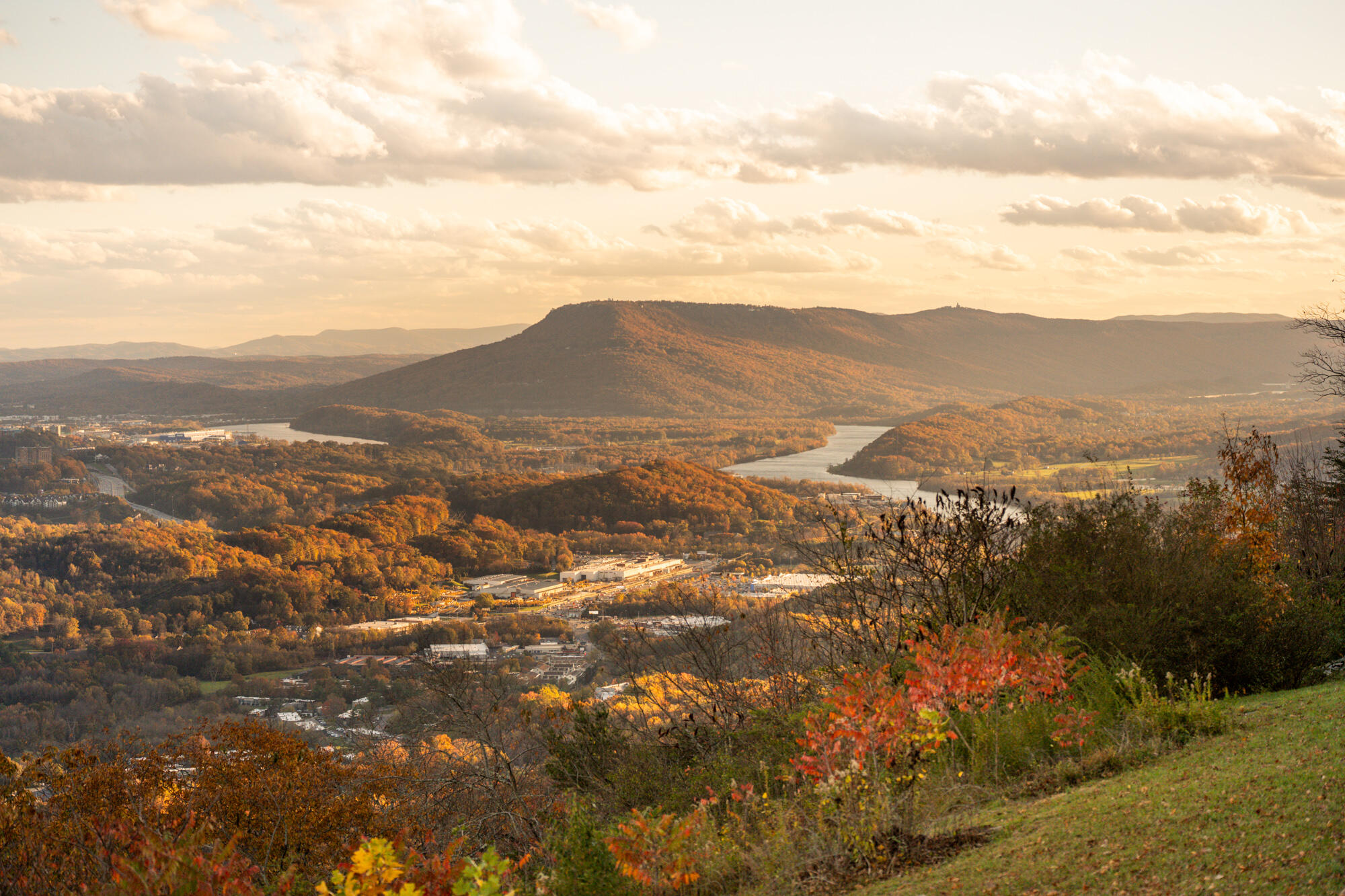 1105 East Brow Road Signal Mountain, TN 37377 - Photo 4 of 67 1105-E-Brow-Rd-MLS-Photos-66