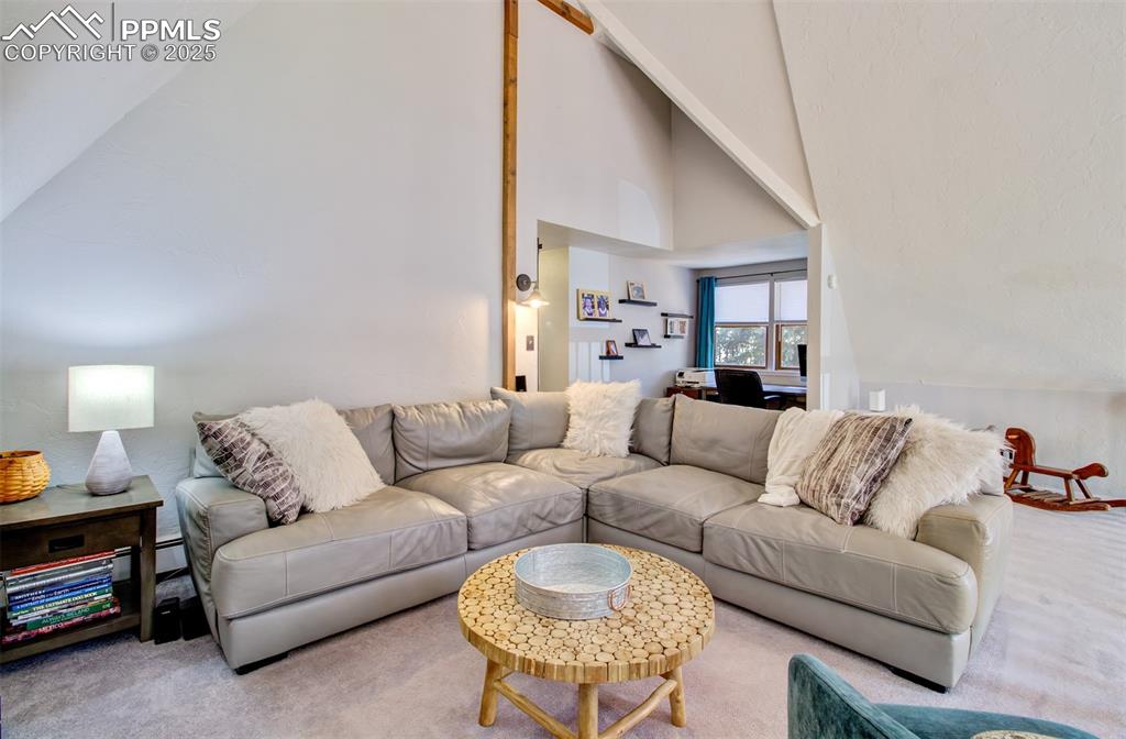 8716 Chipita Park Road Cascade, CO 80809 - Photo 21 of 50