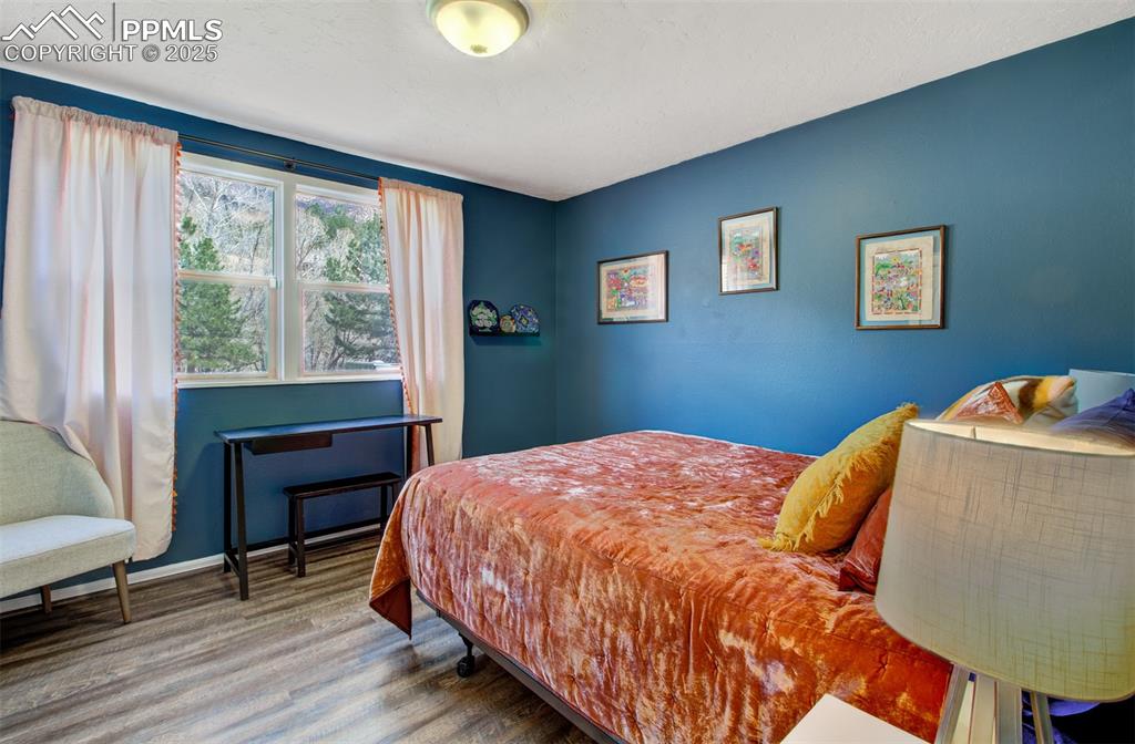 8716 Chipita Park Road Cascade, CO 80809 - Photo 24 of 50