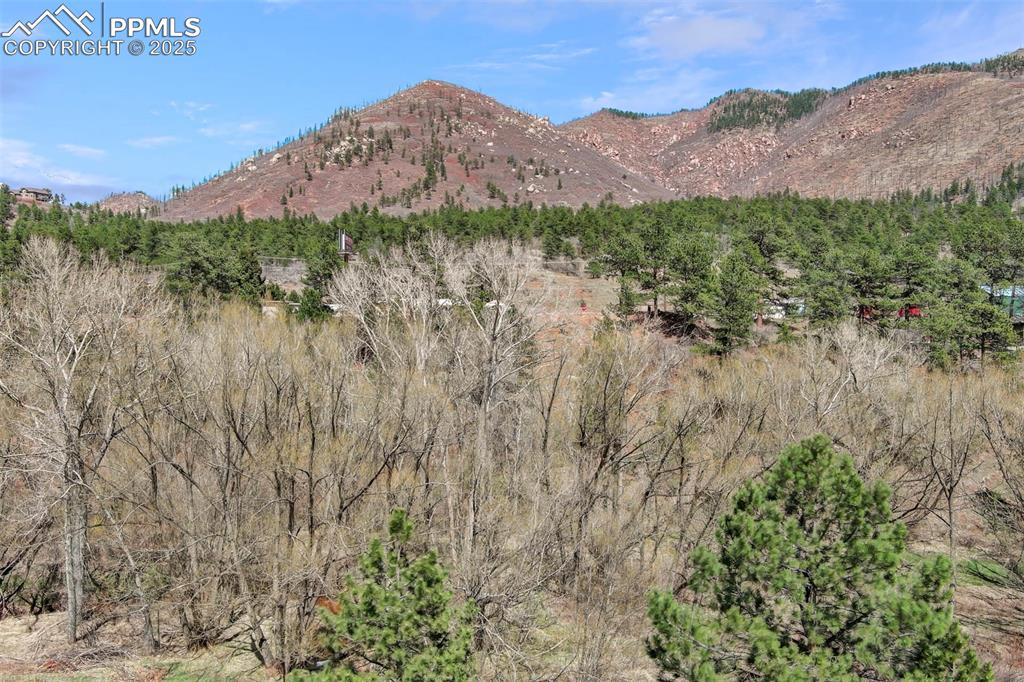 8716 Chipita Park Road Cascade, CO 80809 - Photo 43 of 50