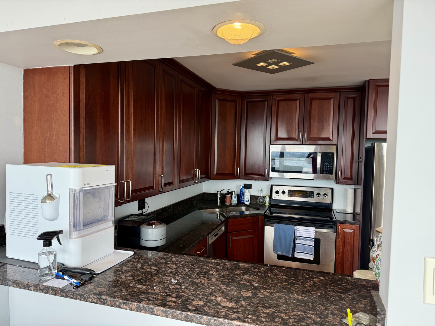 655 West Irving Park Road, Unit 3203 Chicago, IL 60613 - Photo 11 of 16