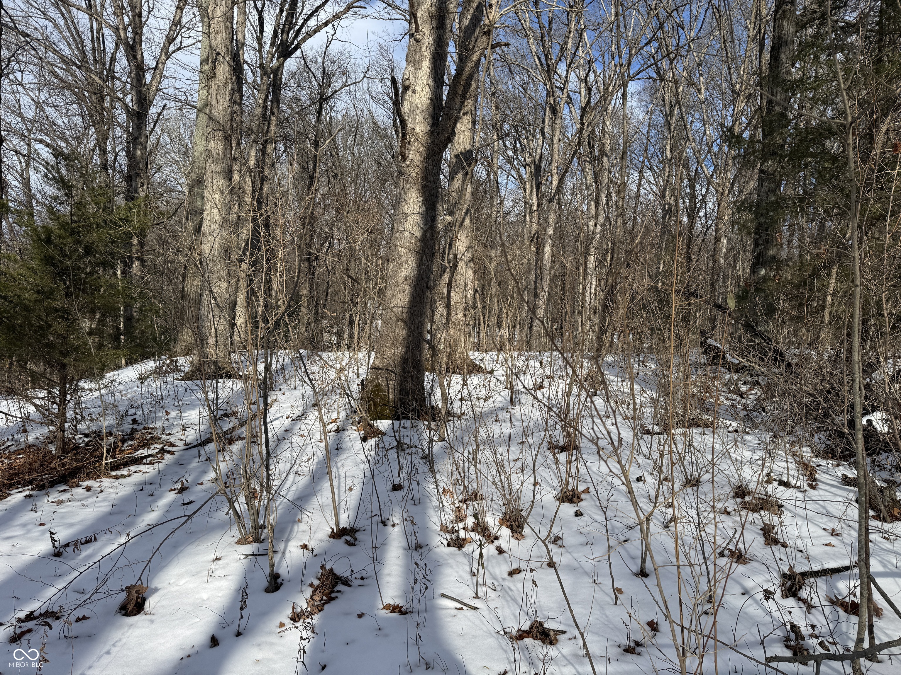 800 North Bainbridge, IN 46105 - Photo 4 of 11