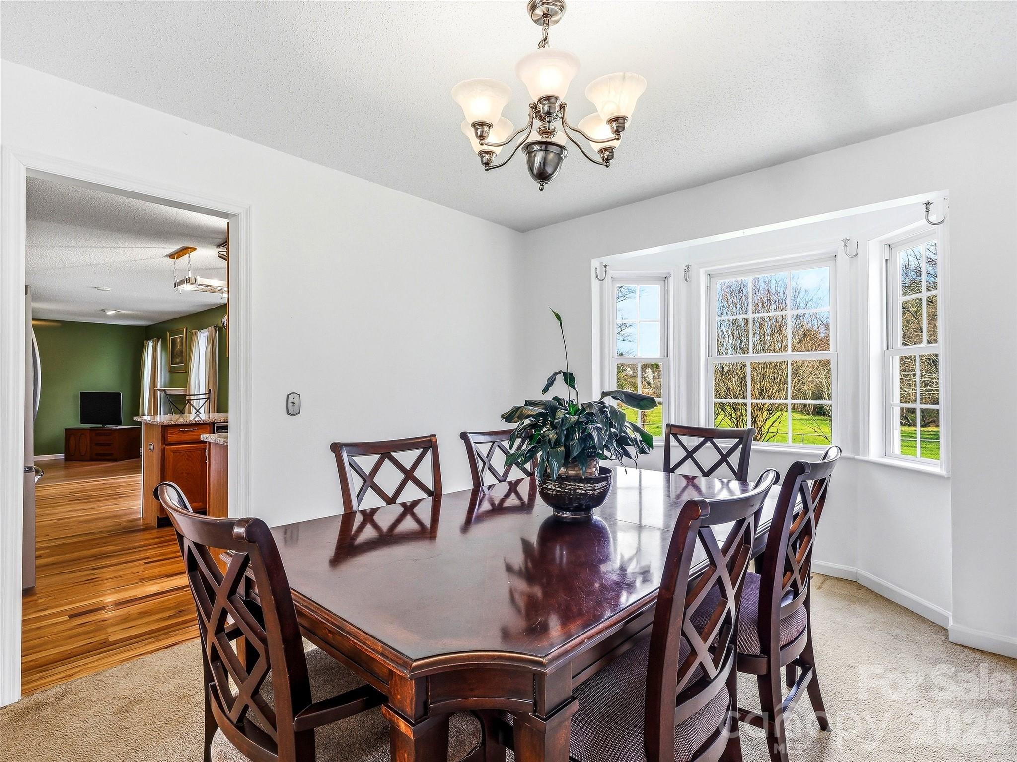 61 Rolling Hills Road Mills River, NC 28759 - Photo 11 of 41