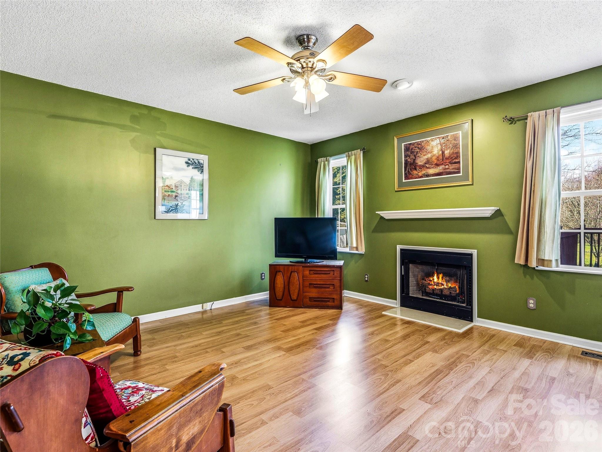 61 Rolling Hills Road Mills River, NC 28759 - Photo 18 of 41