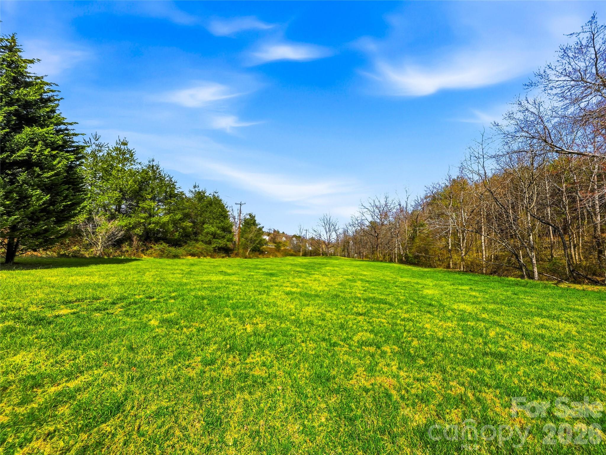 61 Rolling Hills Road Mills River, NC 28759 - Photo 41 of 41