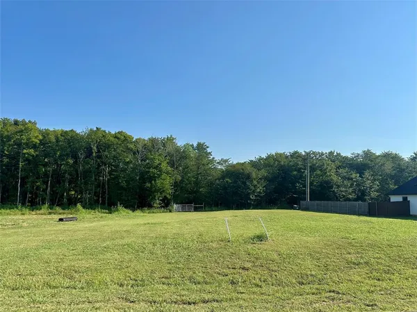 a view of a field with a yard