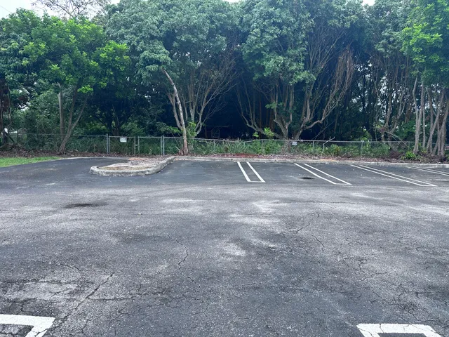 a view of a yard with plants and trees