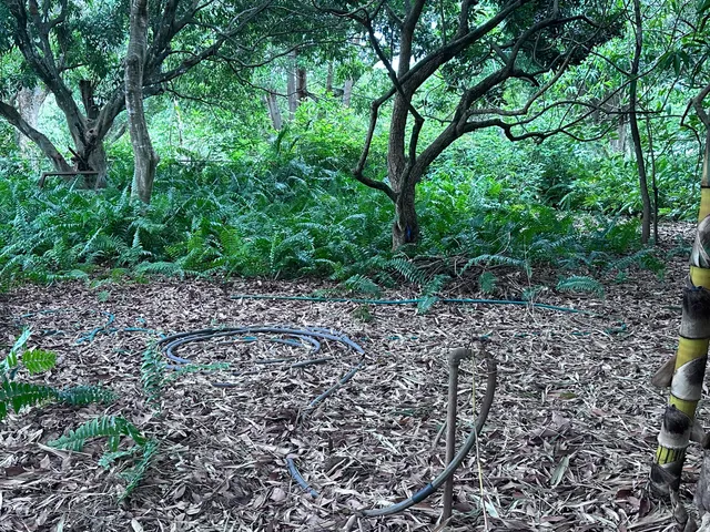 a view of a yard in front of house