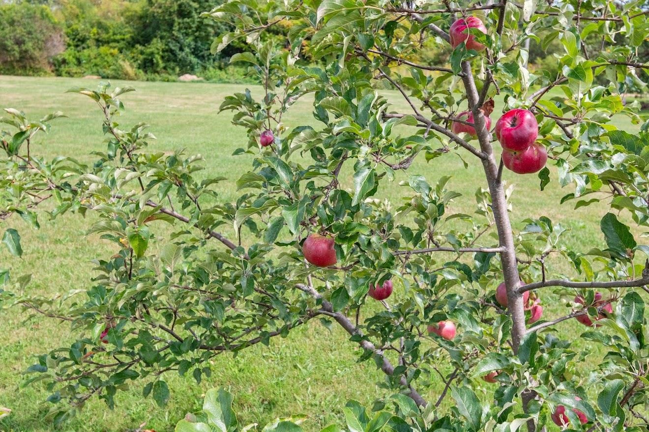 25 Snowcrest Road Fairfax, VT 05454 - Photo 10 of 55