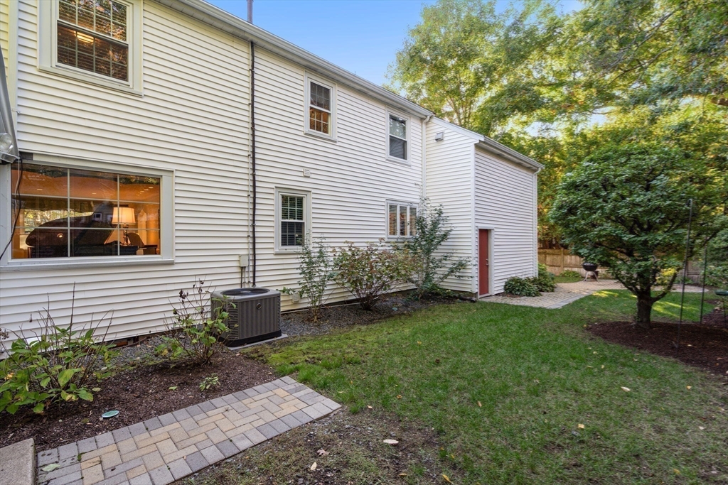 5 Halcyon Road Newton, MA 02459 - Photo 23 of 26 a view of a backyard with plants and a tree
