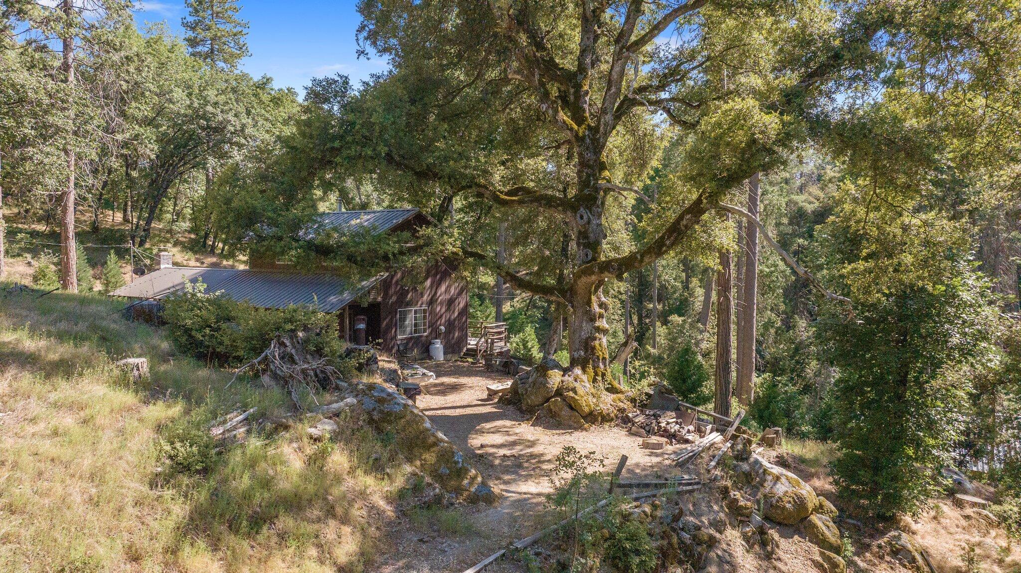 48675 Todd Eymann Road Miramonte, CA 93641 - Photo 82 of 103 81-web-or-mls-DJI_20250630161610_0890_D