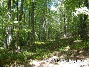 133 Pine Road Brevard, NC 28712 - Photo 11 of 12 Gallery Image 11