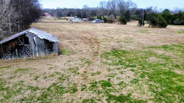 a view of a dry yard with trees