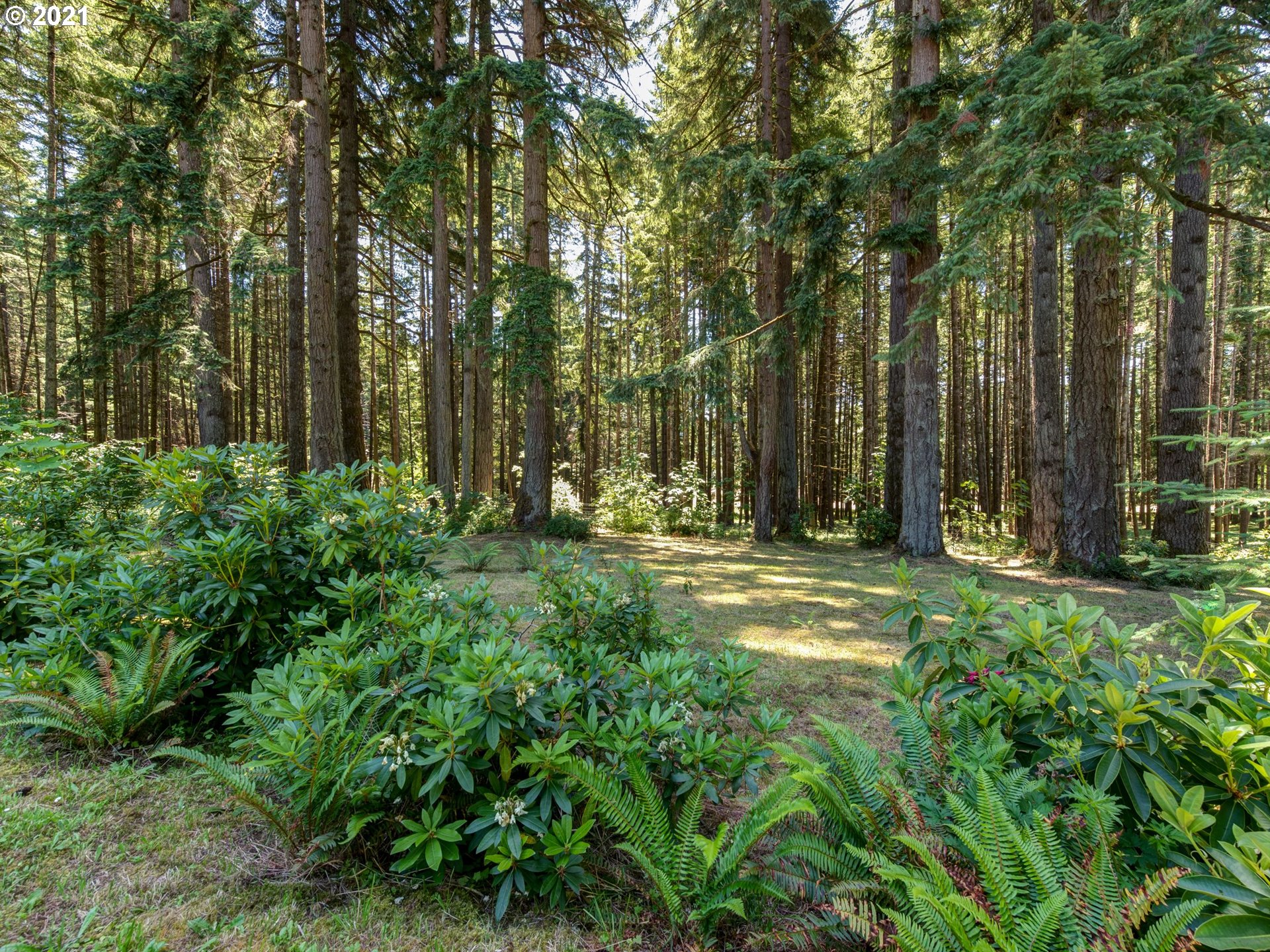 25248 Vaughn Road Veneta, OR 97487 - Photo 2 of 21 Gallery Image 2