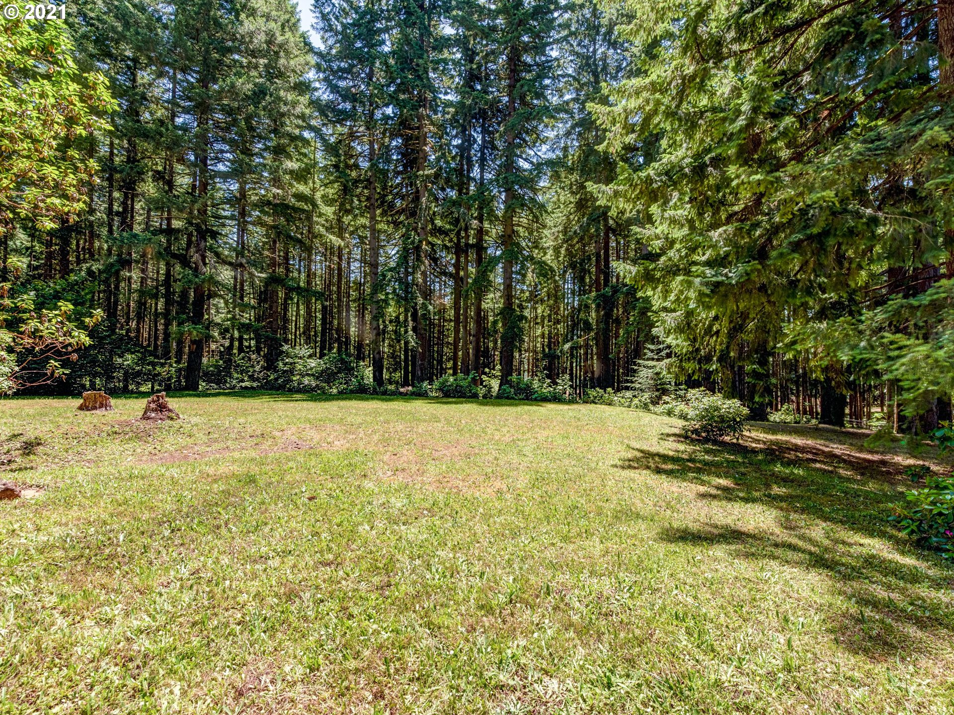 25248 Vaughn Road Veneta, OR 97487 - Photo 3 of 21 Gallery Image 3