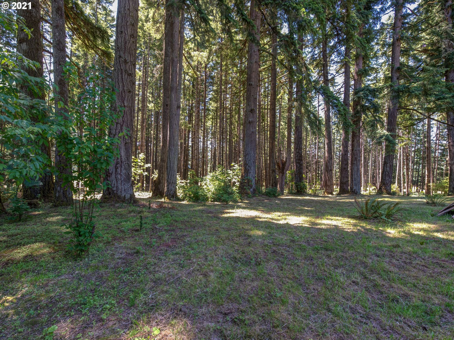 25248 Vaughn Road Veneta, OR 97487 - Photo 21 of 21 Gallery Image 21