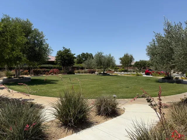 a view of yard with cars parked