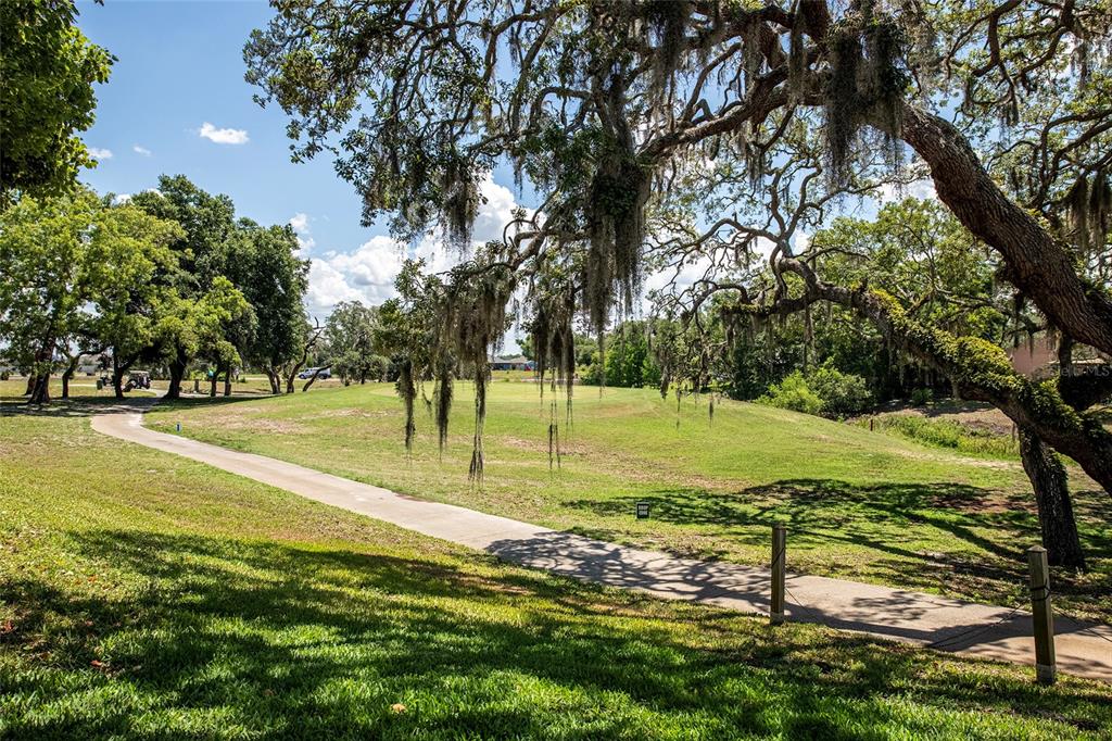 13253 Golf Ridge Place Hudson, FL 34669 - Photo 37 of 54