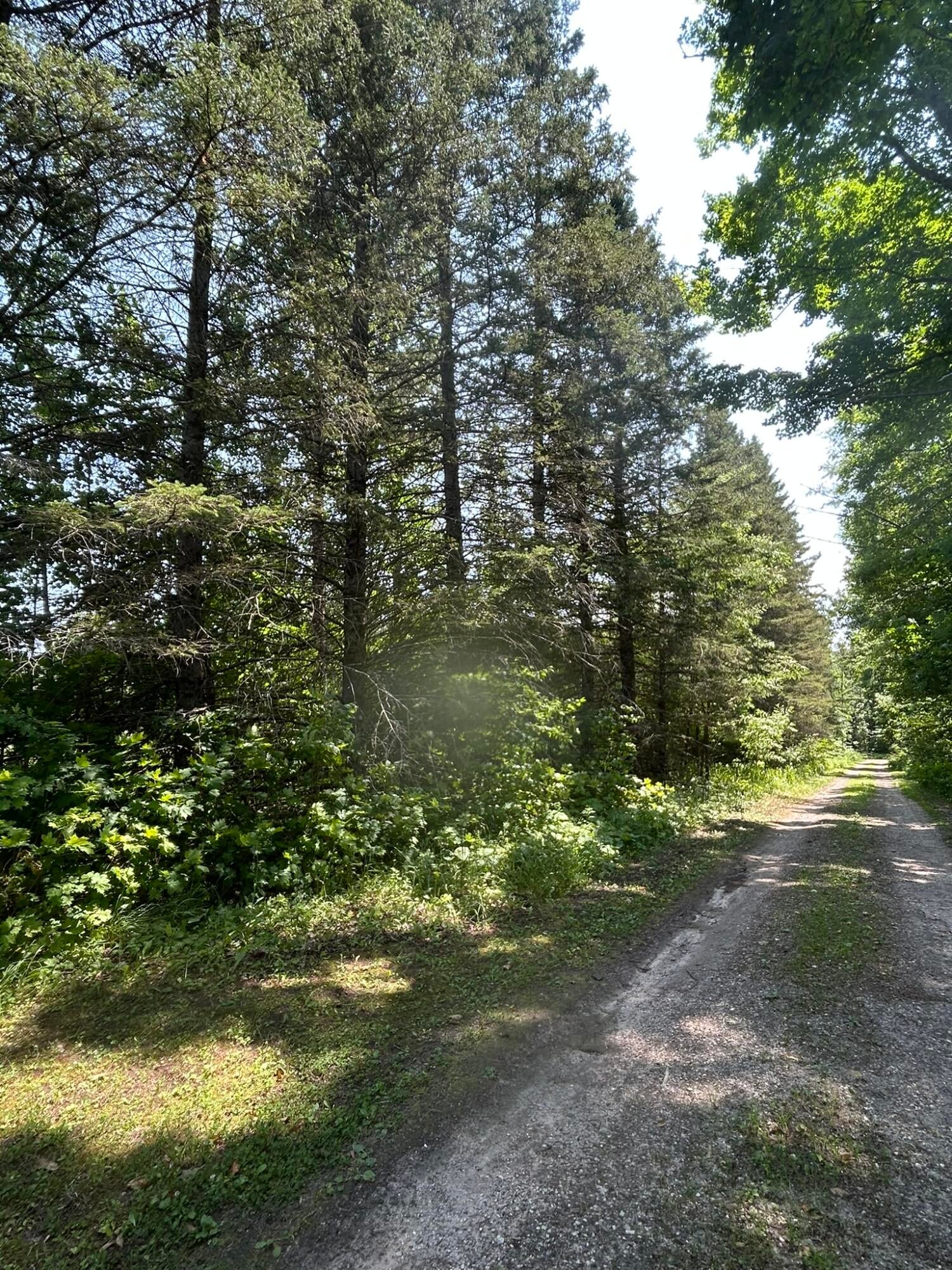 28348 West County Line Road Trout Lake, MI 49793 - Photo 8 of 83 Gallery Image 8