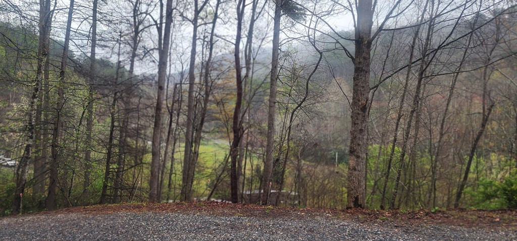 57 Rustys Ridge Bryson City, NC 28713 - Photo 48 of 74