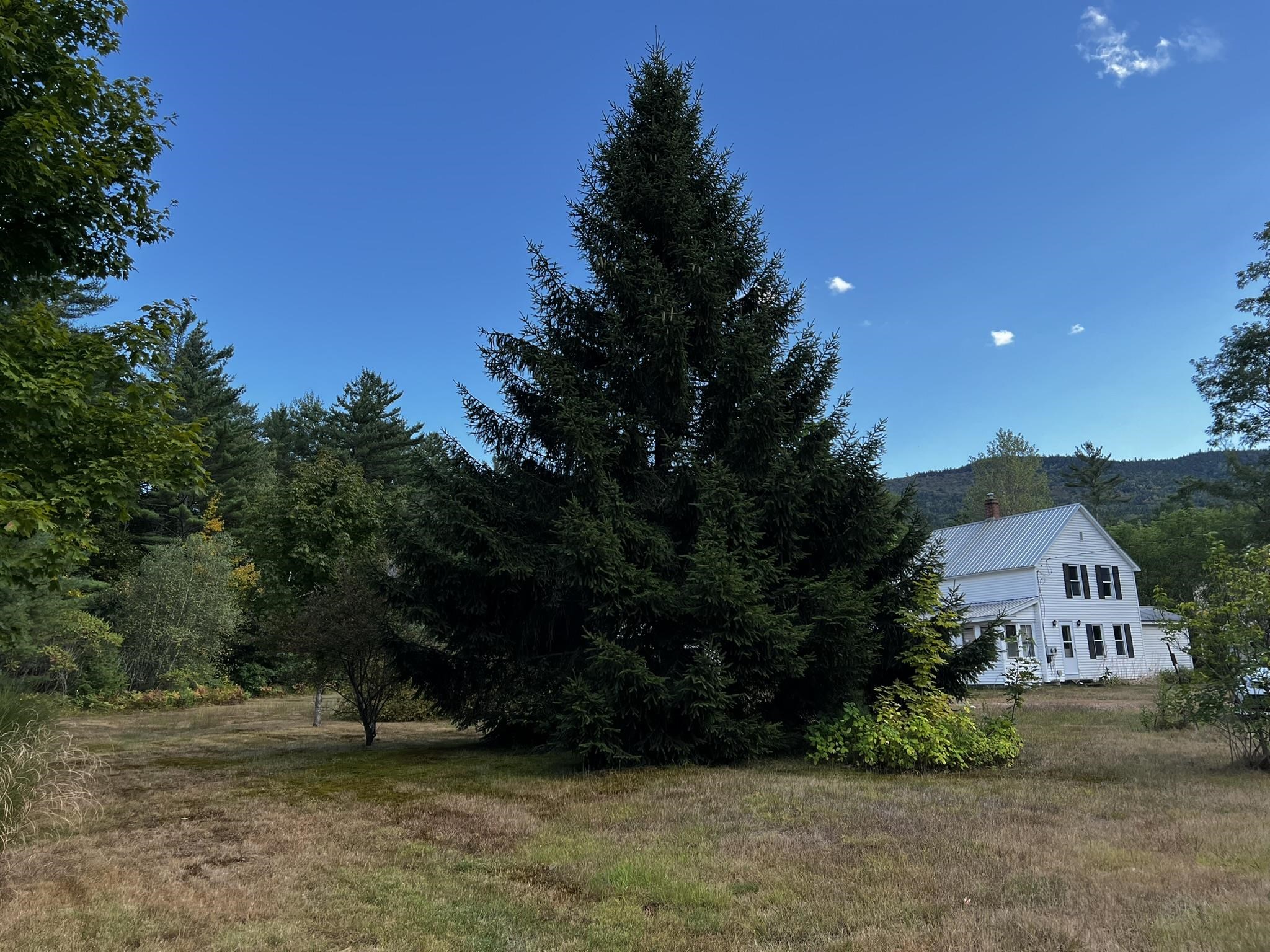 791 West Side Road Bartlett, NH 03860 - Photo 28 of 28