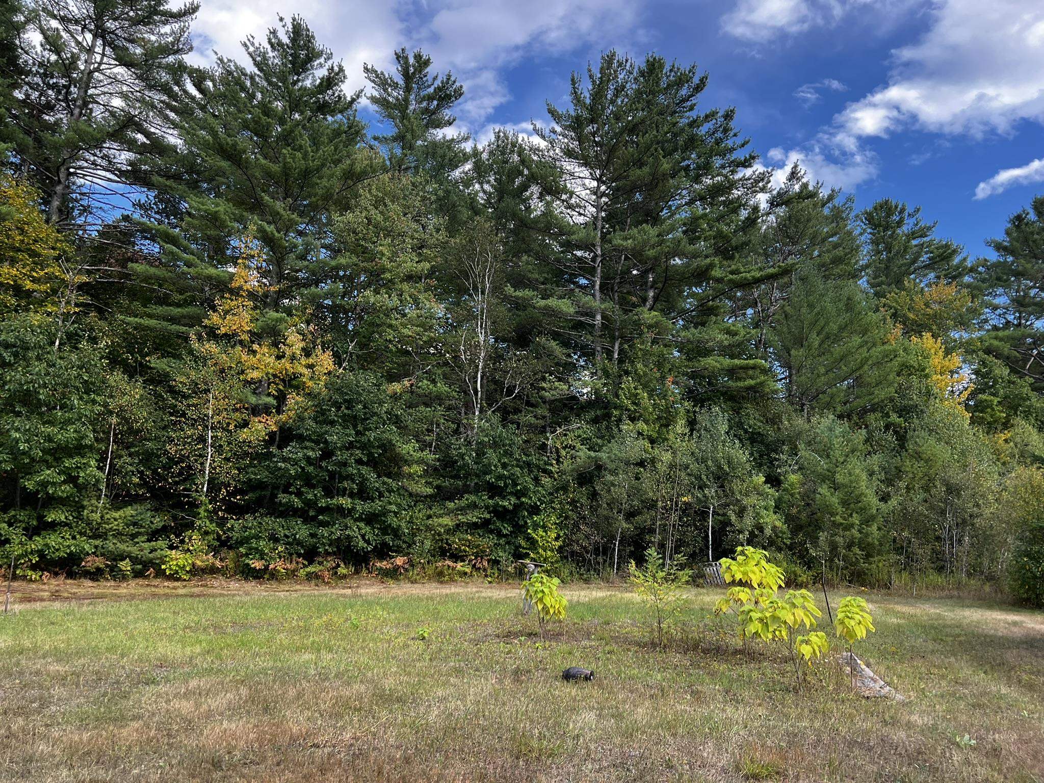 791 West Side Road Bartlett, NH 03860 - Photo 6 of 28