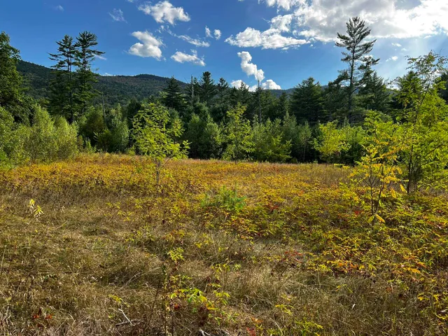 $375,000 | 791 West Side Road, Bartlett, NH 03860