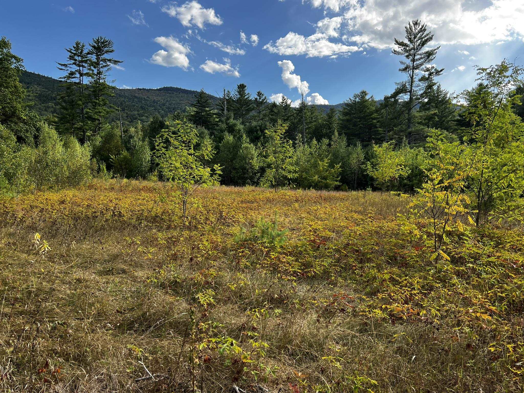 791 West Side Road Bartlett, NH 03860 - Photo 7 of 28
