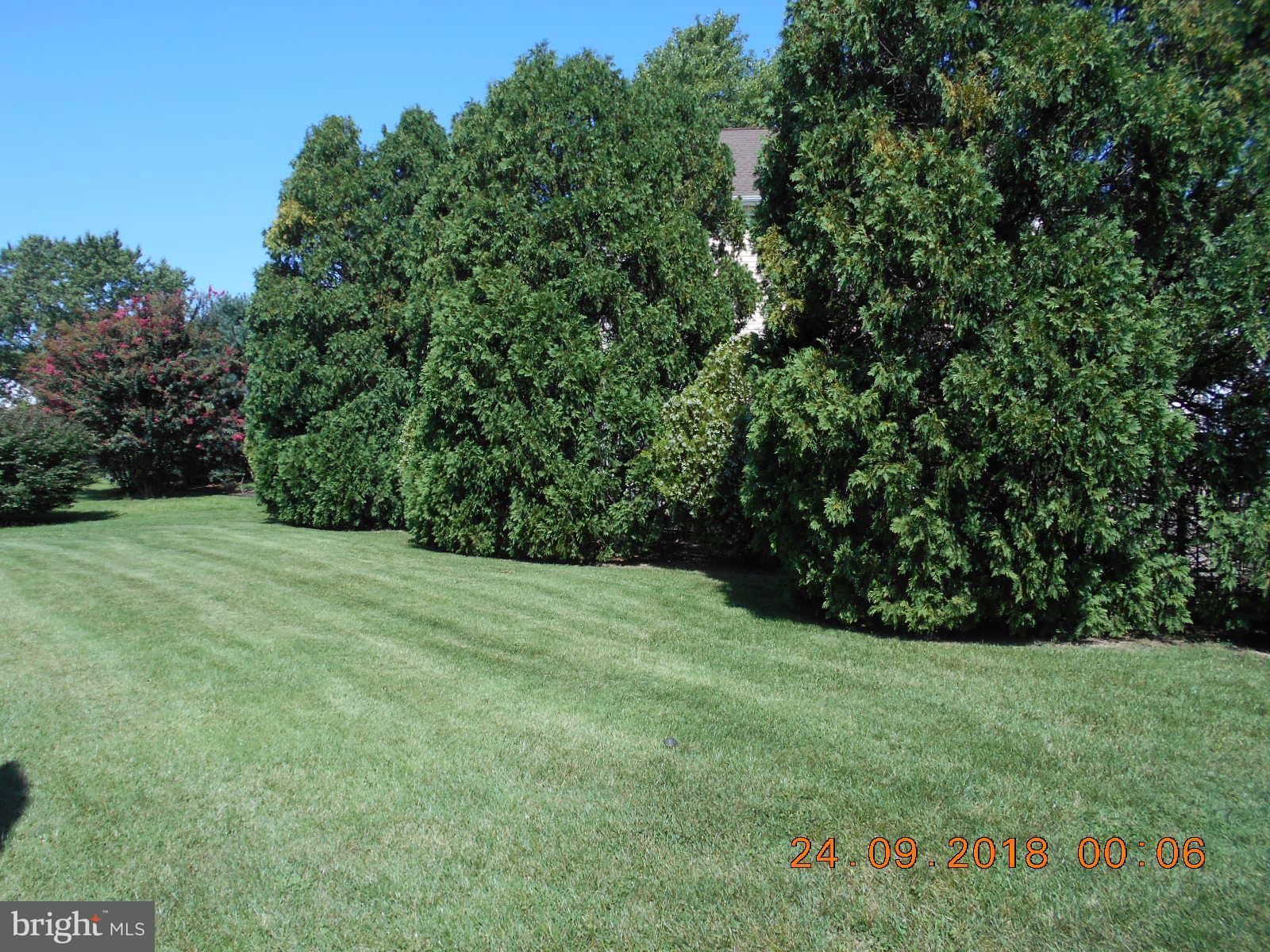 506 Harbor Road Ocean View, DE 19970 - Photo 24 of 30 Private backyard.