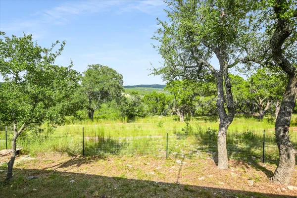 a view of yard with large trees