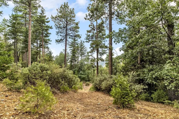 $842,000 | 29901 Eagles Nest Drive, Idyllwild, CA 92549