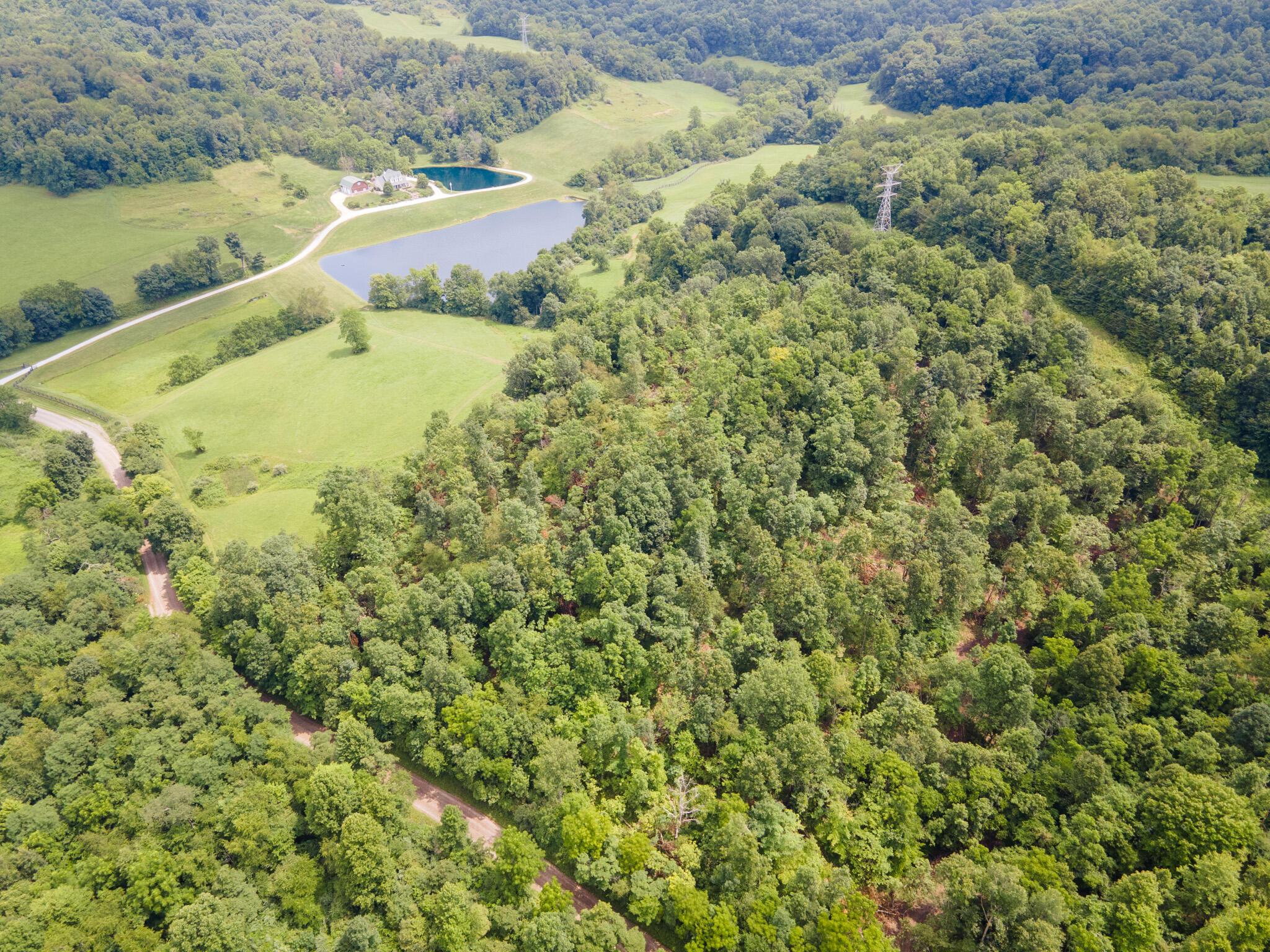 0 White Eyes Road New Concord, OH 43762 - Photo 2 of 14 DJI_0001