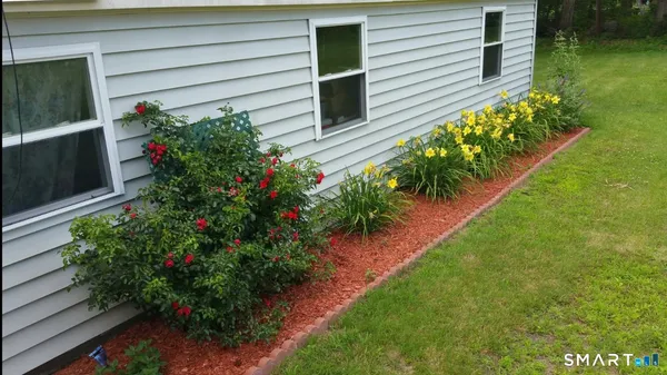 a view of a backyard with potted plants