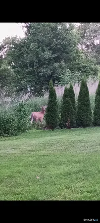 a view of outdoor space and yard