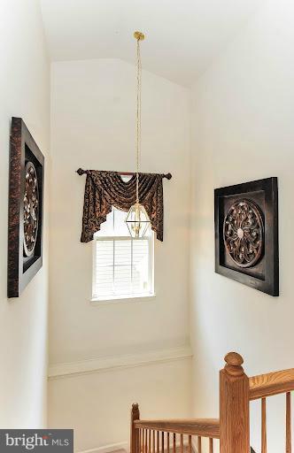 2428 Knapps Way Odenton, MD 21113 - Photo 15 of 30 a picture of a bathroom with a small window and a potted plant on th wall