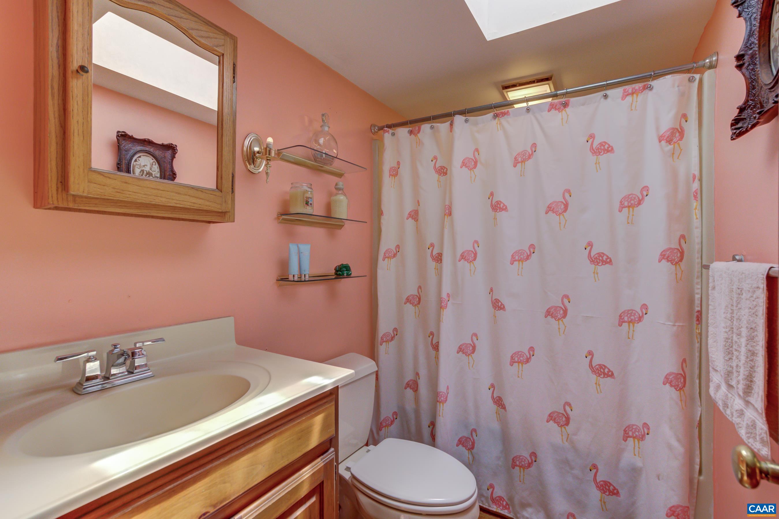 5317 Stony Point Road Barboursville, VA 22923 - Photo 21 of 69 a bathroom with a sink toilet and shower