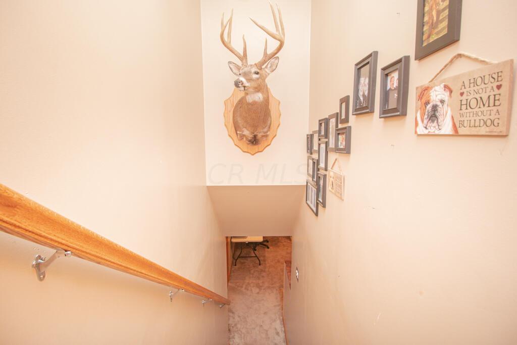 3157 Hillgate Road Columbus, OH 43207 - Photo 32 of 61 Gallery Image 32