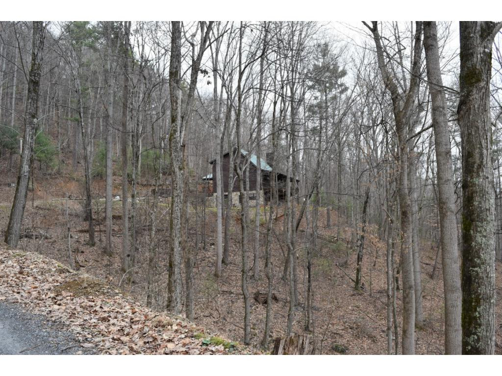 198 Morgan Way Erwin, TN 37650 - Photo 36 of 36 Cabin in the Woods