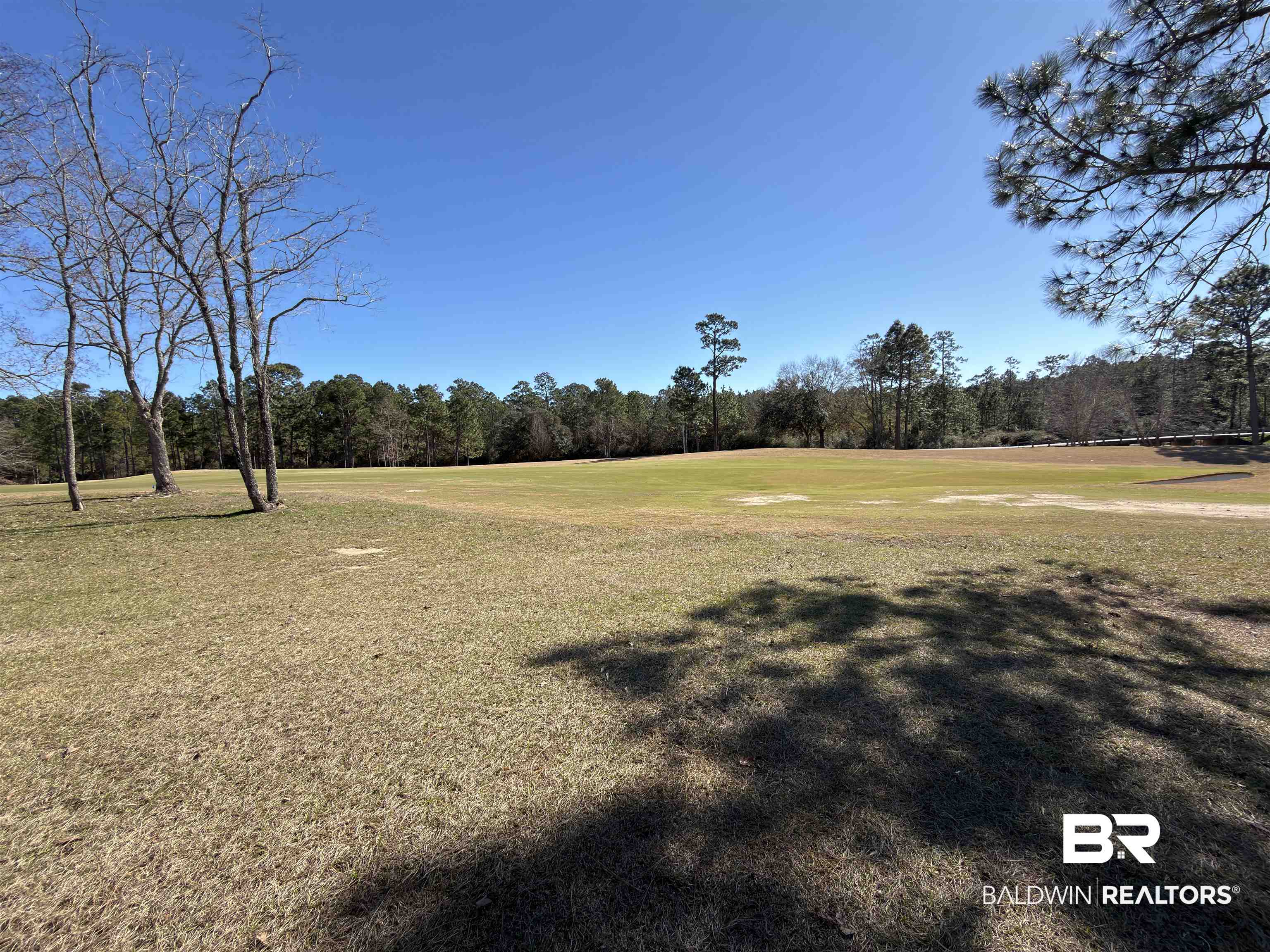 East Water View Drive East Loxley, AL 36551 - Photo 2 of 11 View of grassy yard with golf course view and view of scattered trees