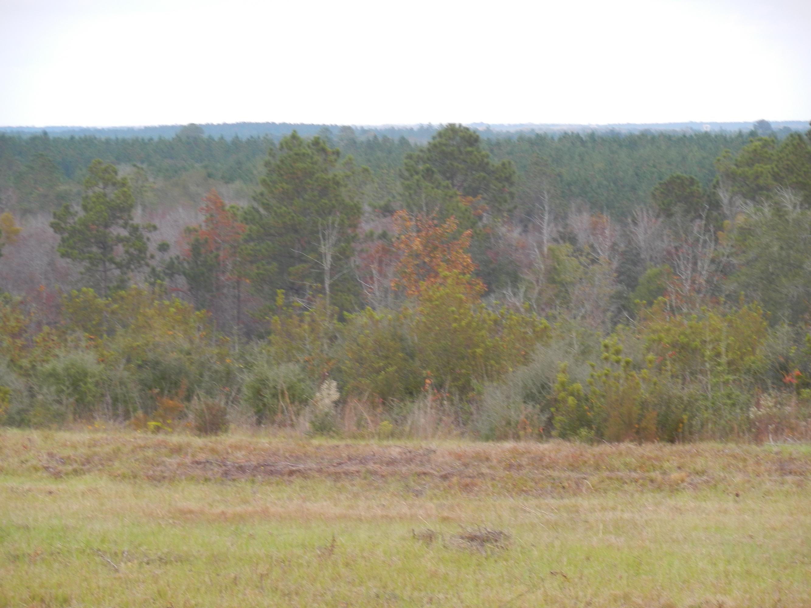 1851 Cook Road Westville, FL 32464 - Photo 2 of 8 Hill Top