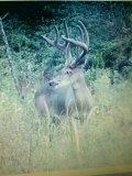 1851 Cook Road Westville, FL 32464 - Photo 3 of 8 Big Buck