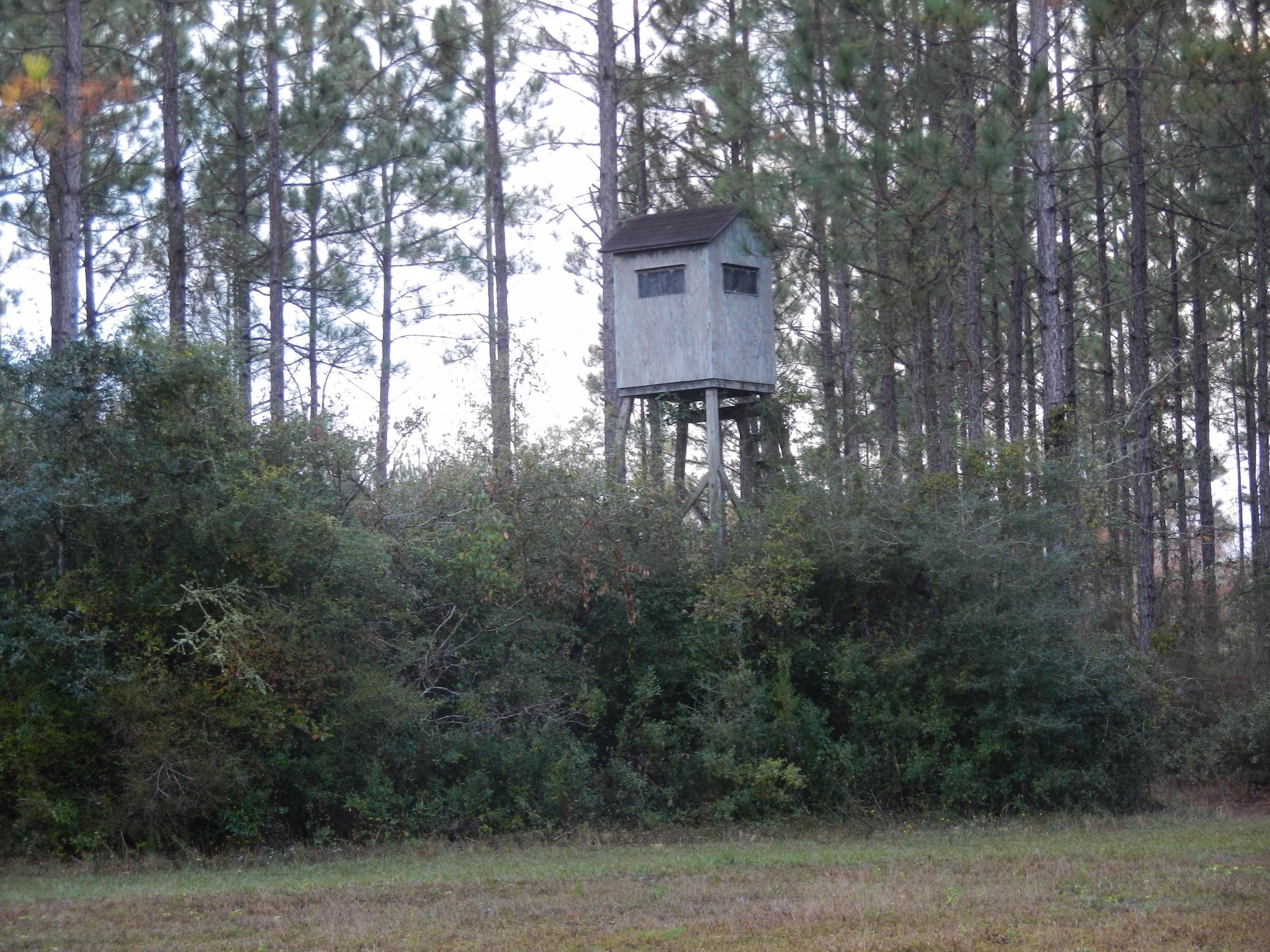 1851 Cook Road Westville, FL 32464 - Photo 6 of 8 Hunting Stand