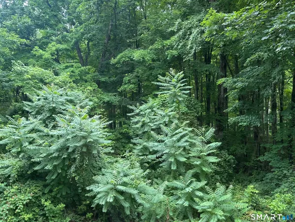 $200,000 | Kelseytown Bridge Road, Clinton, CT 06413