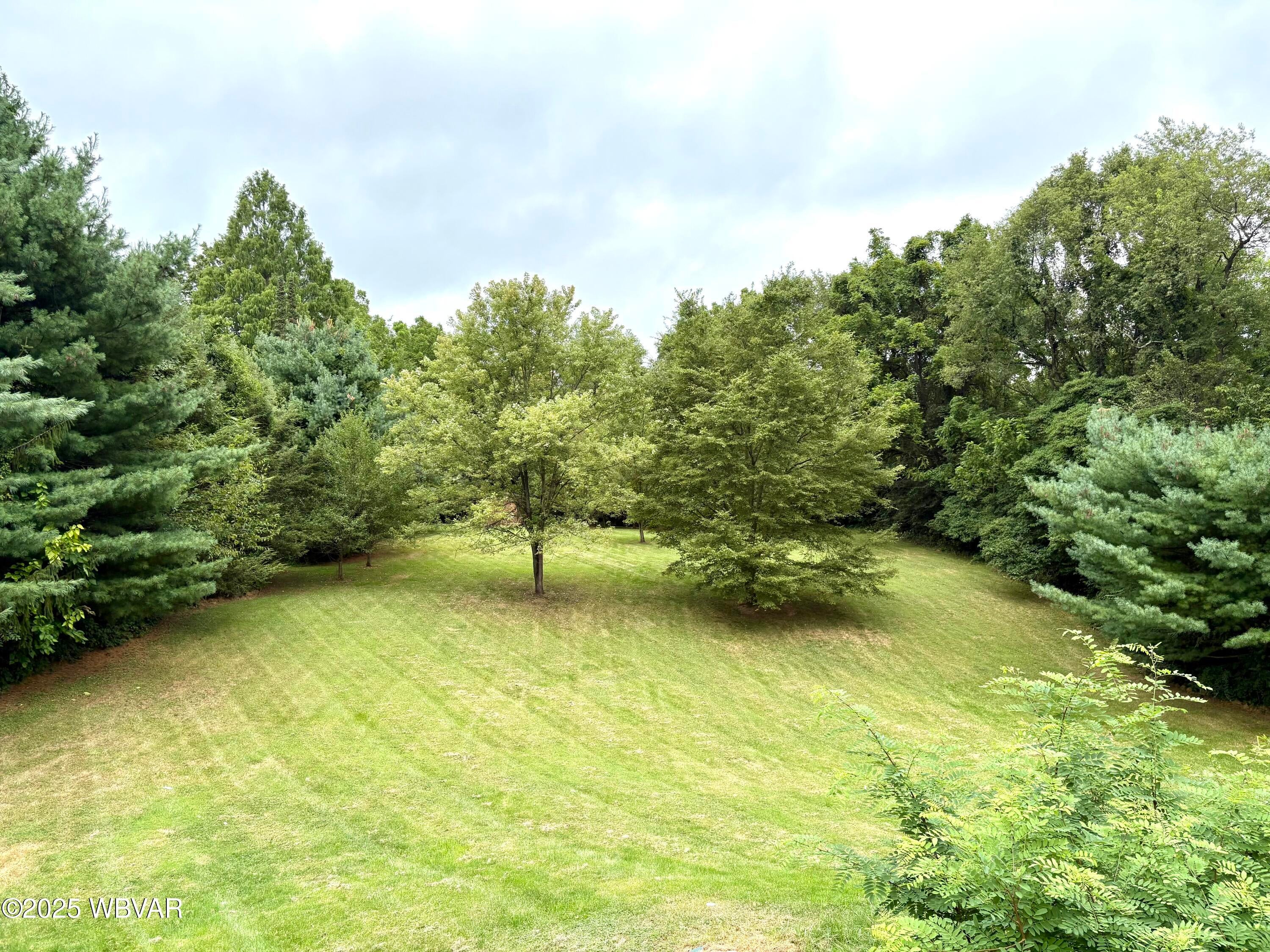 1154 Pleasant View Road New Columbia, PA 17856 - Photo 41 of 47 Backyard